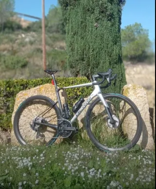 Bicicleta Berria Belador 7.1 2021 Gris