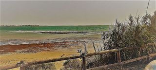 Casa adosada en venta en Centro en Puerto de Santa María (El)