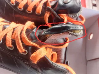 Botes Reno hoquei patins T.36