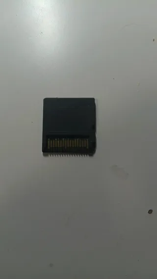 Juego Nintendo DS Littlest Pet Shop