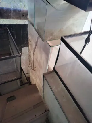 Set di acquari in buono stato di seconda mano