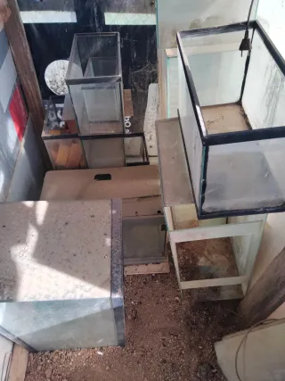 Set di acquari in buono stato di seconda mano