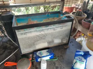 Set di acquari in buono stato di seconda mano