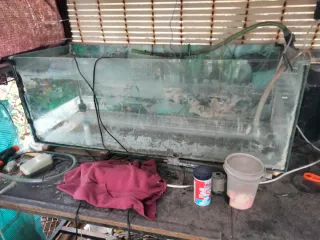 Set di acquari in buono stato di seconda mano