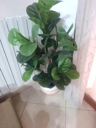 Pianta artificiale Ficus Lyrata
