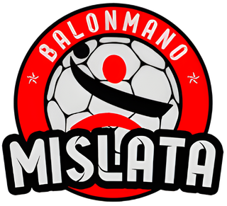 diseñador gráfico, Pc/Mac