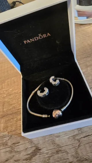Pulsera Pandora con 2 charms