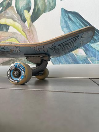 Surfskate Carver C5 custom
