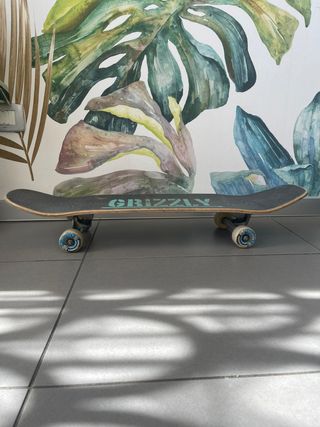 Surfskate Carver C5 custom