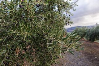 Casa rural en venta en Huelma