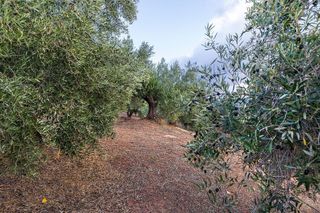 Casa rural en venta en Huelma