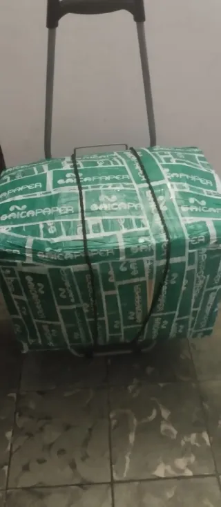 Scatola di vestiti Saica Paper verde