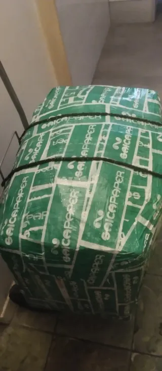 Scatola di vestiti Saica Paper verde