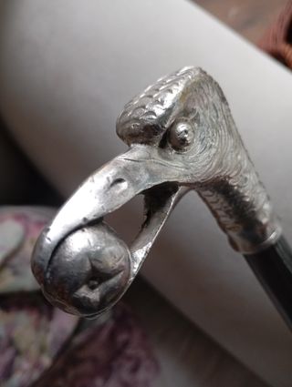 Bastón Mango Gaviota con semilla. Plateado.