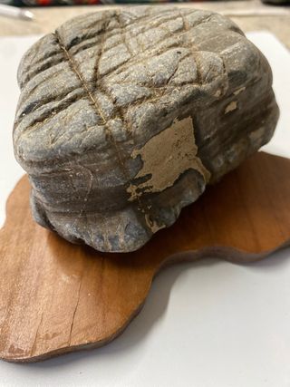 Pietra naturale decorativa arenaria