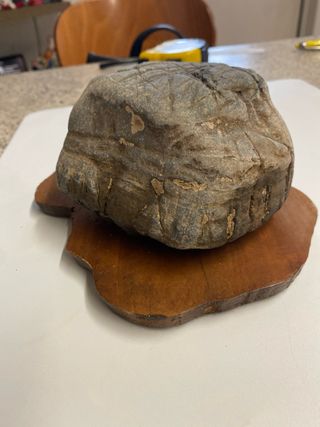 Pietra naturale decorativa arenaria