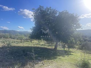 Terreno en venta en Artà