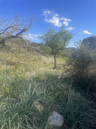 Terreno en venta en Artà