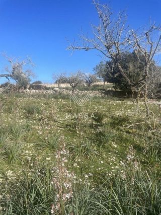 Terreno en venta en Artà