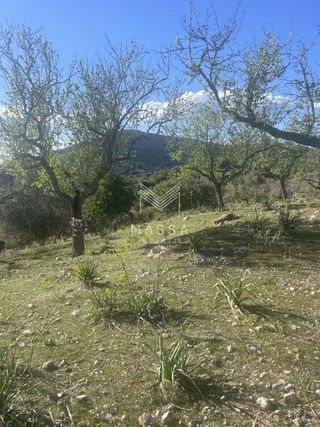 Terreno en venta en Artà