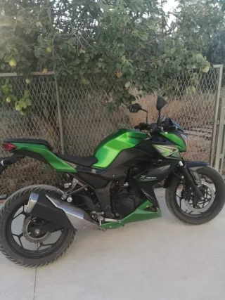 Kawasaki Z300 ABS Verde