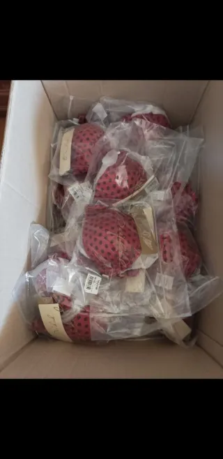 Bikinis y Bañadores de Marca Española Alta Calidad