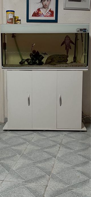 Acuario completo con mueble y filtro