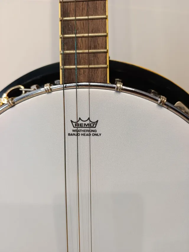 Funda para Banjo Remo