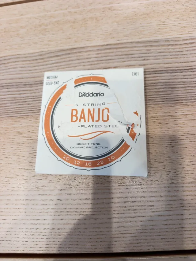 Funda para Banjo Remo
