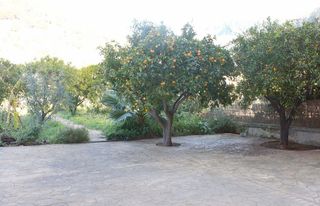 Piso en alquiler en Bunyola