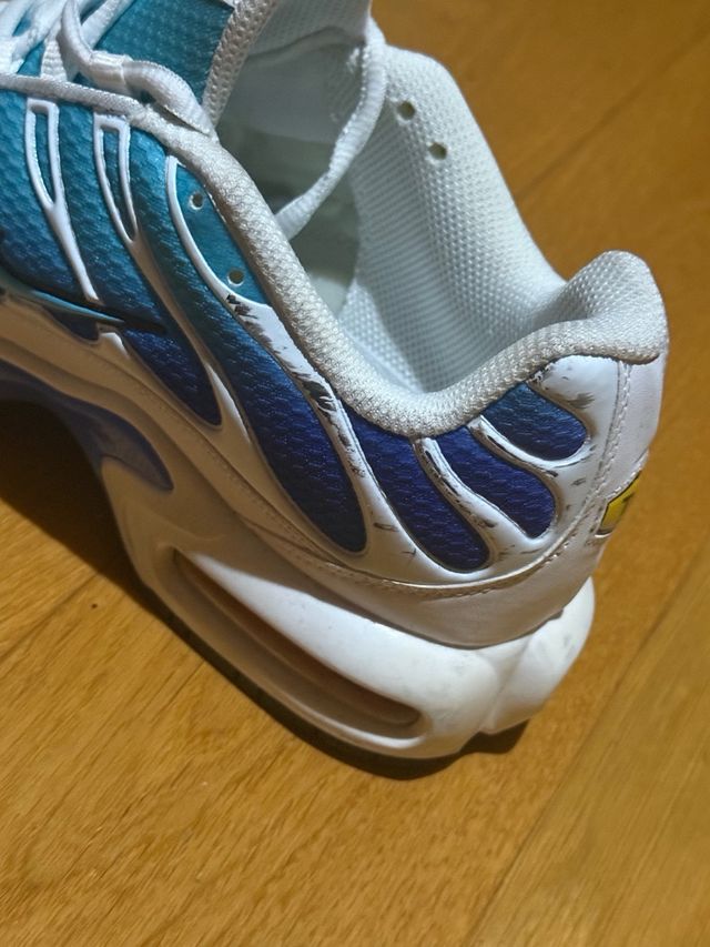 Nike TN Azules y Blancas