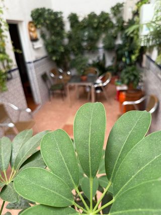 Casa adosada en venta en Alcalá la Real