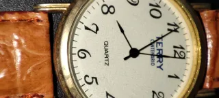 2 Relojes TERRY Centenario de piel