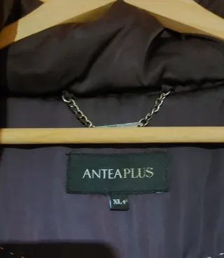 Cazadora acolchada color berenjena con capucha des