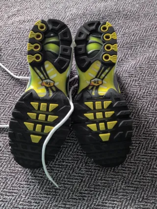 Nike TN Air Max Plus FN8007-500