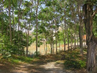 Terreno en venta en Cenes de la Vega