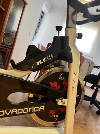 Bicicleta Estática Covadonga