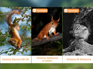 Fototrappola 4G LTE 2K con Sim e SD