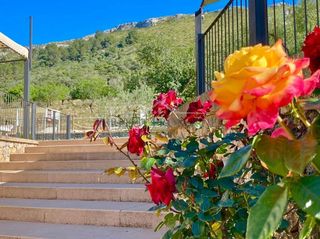 Casa rural en alquiler en Sant Llorenç des Cardassar