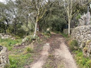 Terreno en venta en Artà en Artà