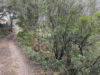 Terreno en venta en Artà en Artà