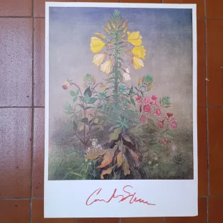 Carteles exposición Carlos Sierra