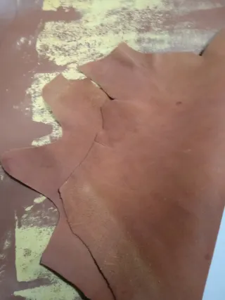 2 Pliegos de piel 20€