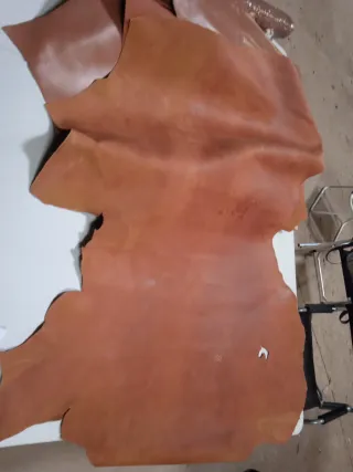 2 Pliegos de piel 20€