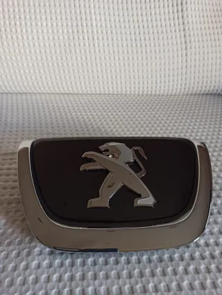 Logo Peugeot 207 9800313877