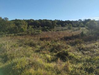 Solar en venta en Sant Joan-Vilarromà en Palamós