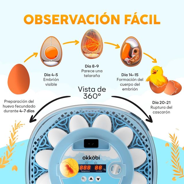 NUEVO - Incubadora Automática 12 Huevos - Giro