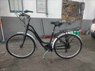 Bicicleta de paseo de adulto.