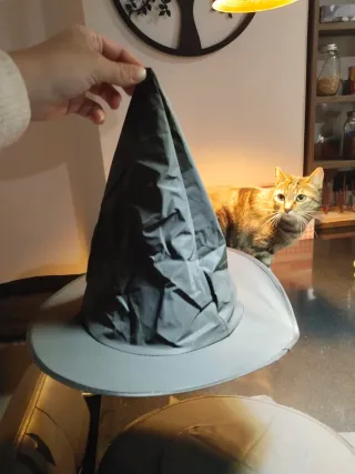 Cappelli costume da strega in nero