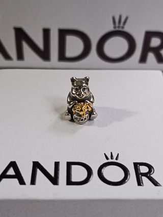 Charm Winnie the Pooh